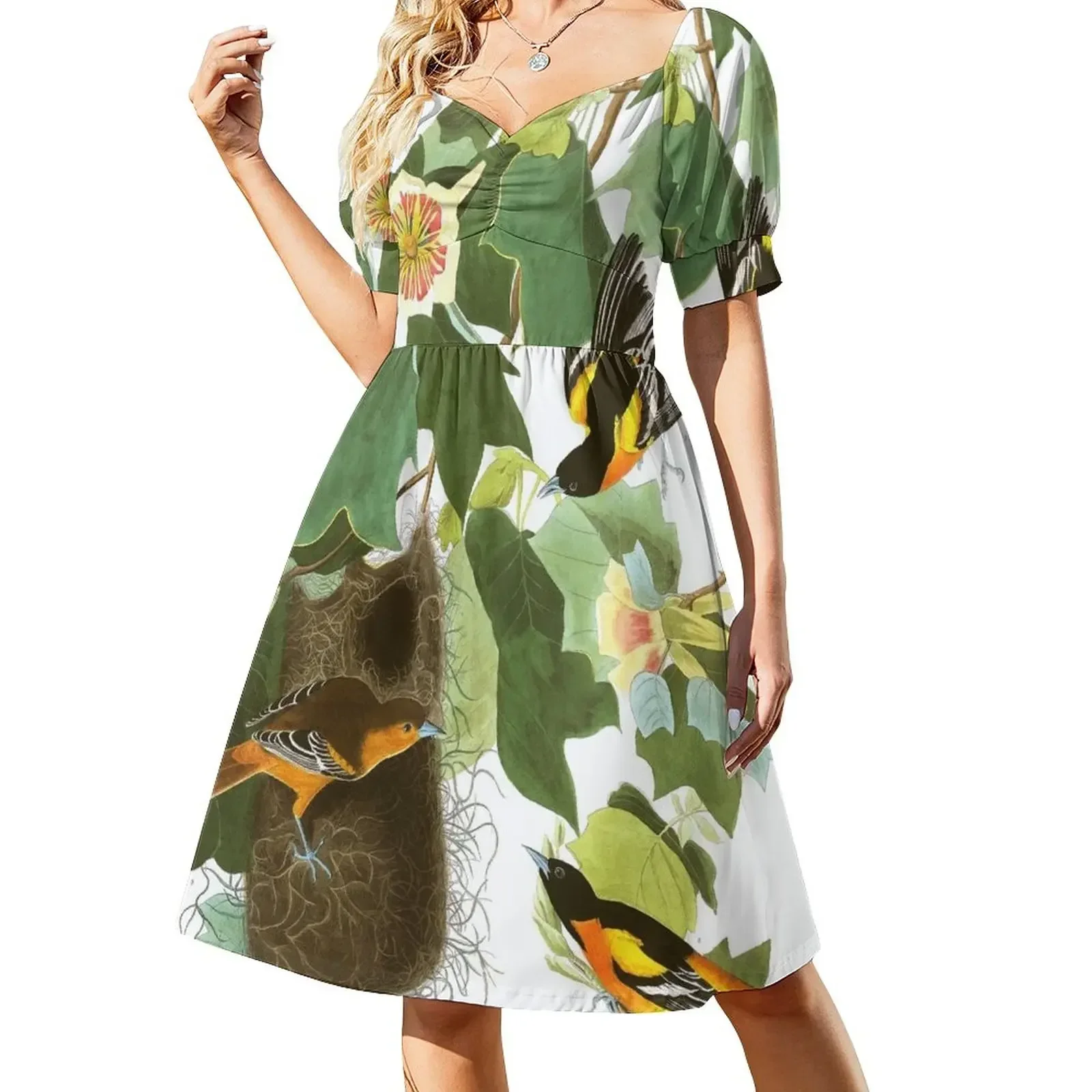 

Baltimore Oriole - Orange and Black Bird Sleeveless Dress dress women summer 2025 Dresses gala Women's skirt Dress