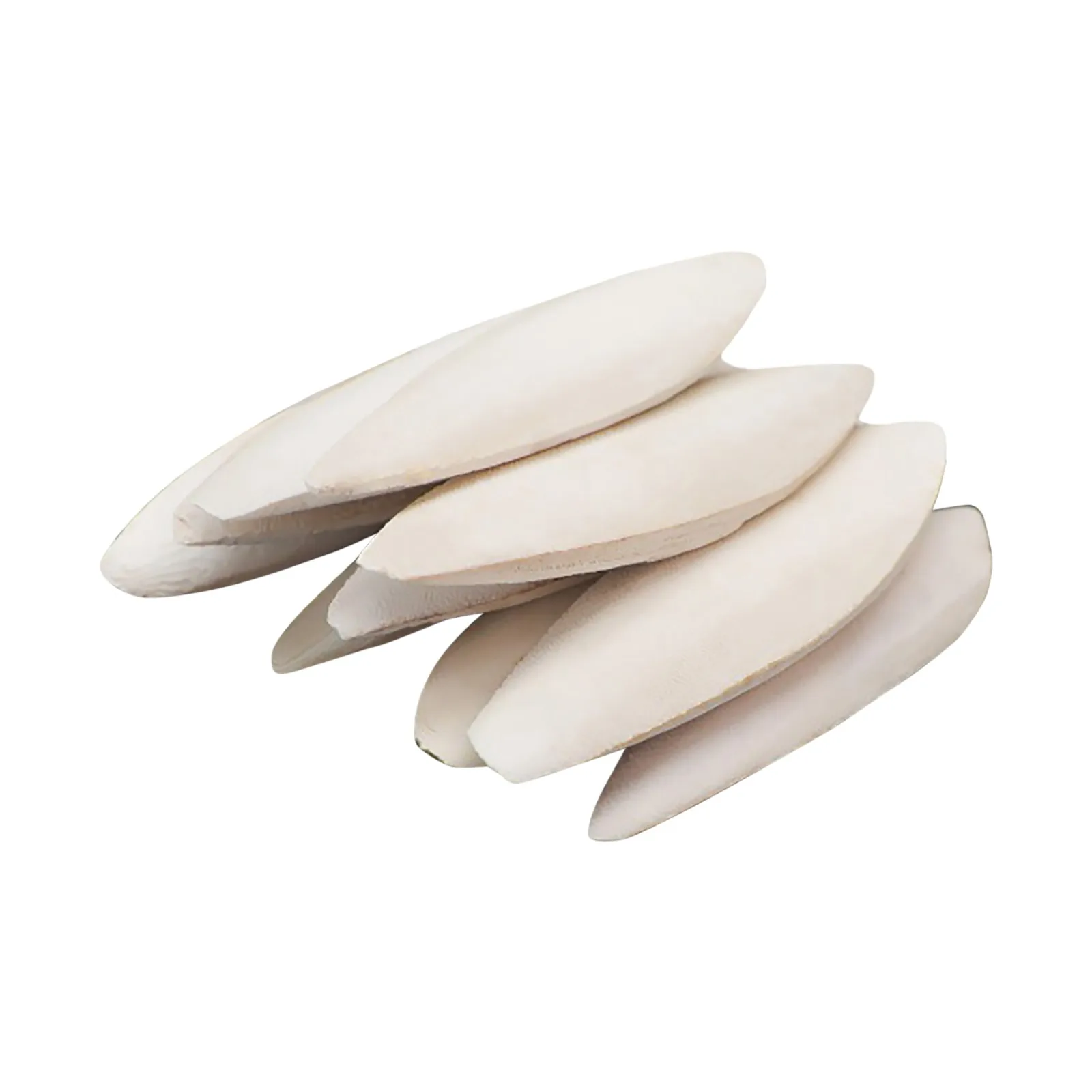 Paquete de 10 cuencos para tortugas, cuencos de 9-12 cm, accesorios para pájaros, cuencos hechos a mano para calamares, adecuados para suministro de calcio, resistentes para perros.