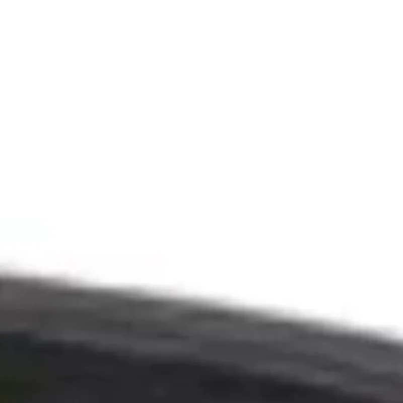 

Для фритюрницы/электрической духовки/электрической скороварки/стерилизатора, замена кнопки управления, ручка таймера, переключатель оси D