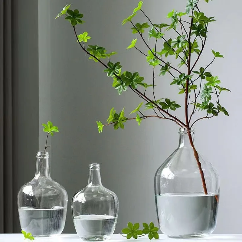 Water Culture Large Belly Glass Vase Flower Arrangement Device, Living Room Decoration, Simple Vase, High-end Feeling