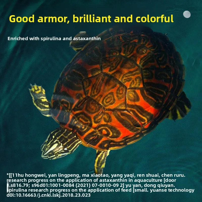 Professional Turtle Food for Red Eared Slider Map Turtle Eastern Painted Turtle Color Enhancing Nutrition Floating Pellets