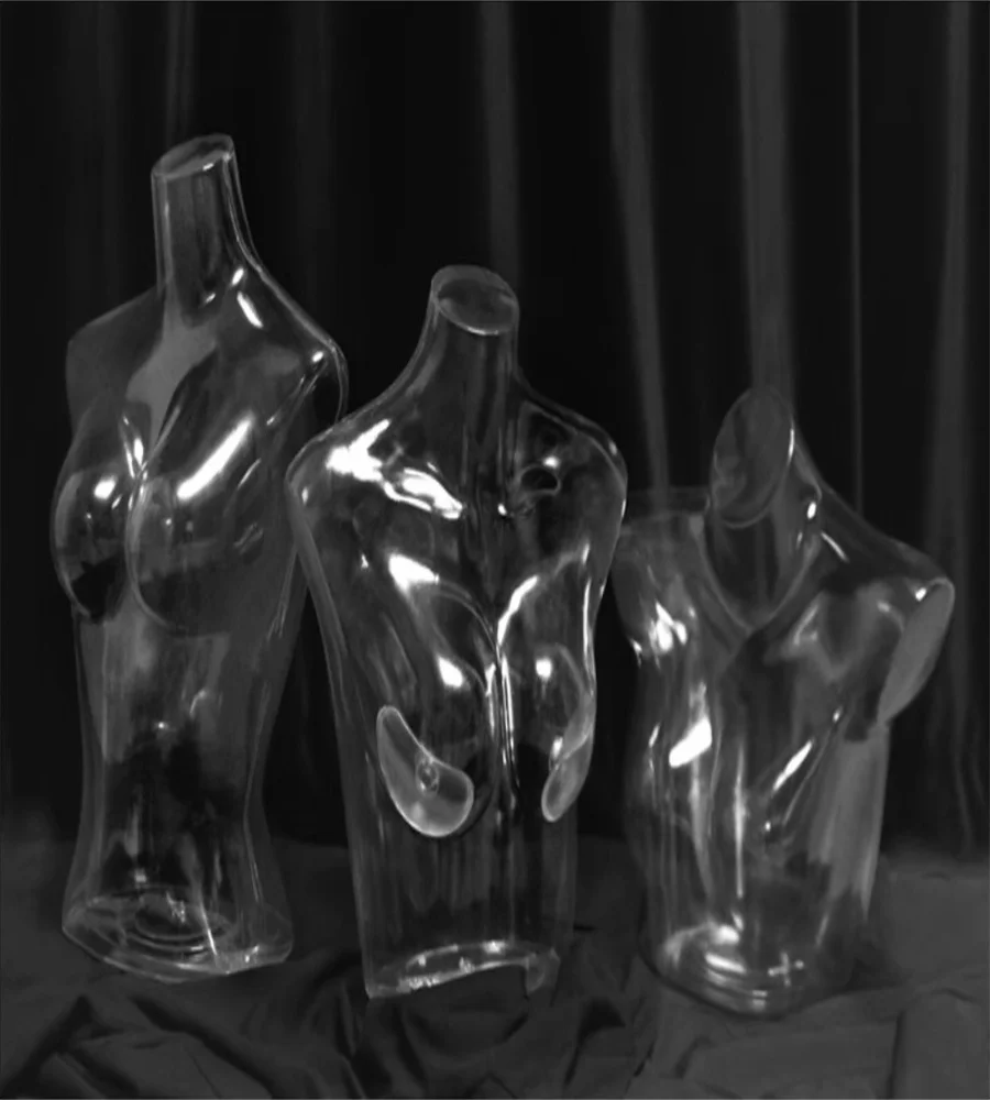 Female Underwear Display Transparent,Cltoh Chest Art Dressmaker Mannequins Stereoscopic,Lingerie Model, Bra, AT102GA