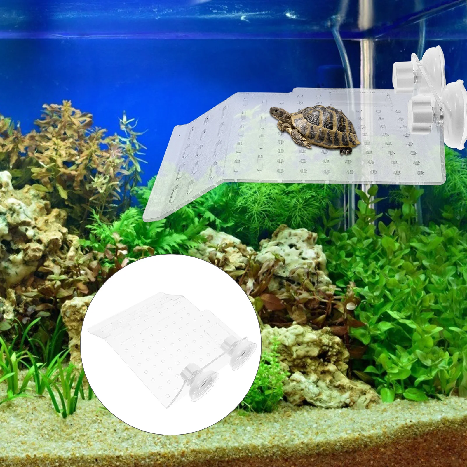 منصة تسلق الزواحف حوض السلحفاة الفرح قوي شفط الاكريليك السلحفاة يستريح شرفة حوض السمك خزان ملحق للمياه