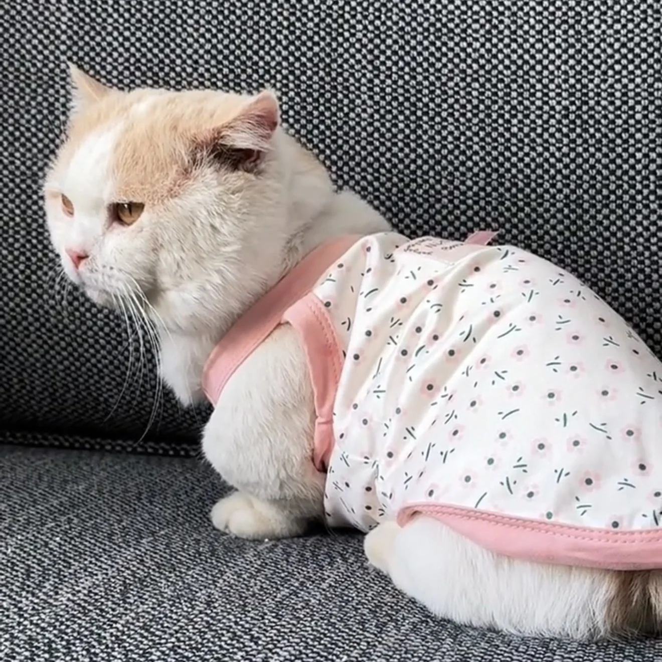 

Small and Medium Dog Floral Sling Summer Pet Breathable Clothes Teddy Pretty Flower T-Shirt Anti Hair Fall Dog Vest