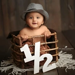 Newborn Photoshoot Props Baby Milestone Photo Decor 0-12 Months Natural Anniversary Digits Shower Birthday Backdrop Decorations