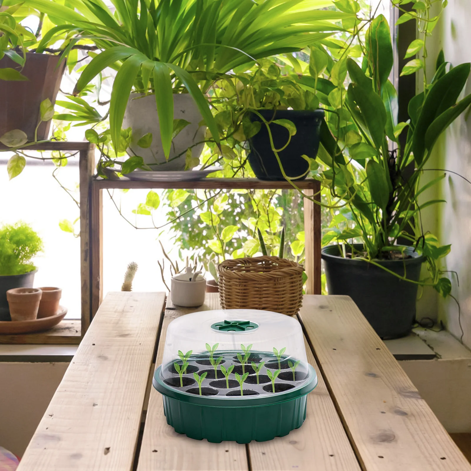 

2pcs Plastic Waterproof Sowing Tray For Outdoor Garden Germination Plant Growing Trays Nursery Plate Sowing Tray Pot