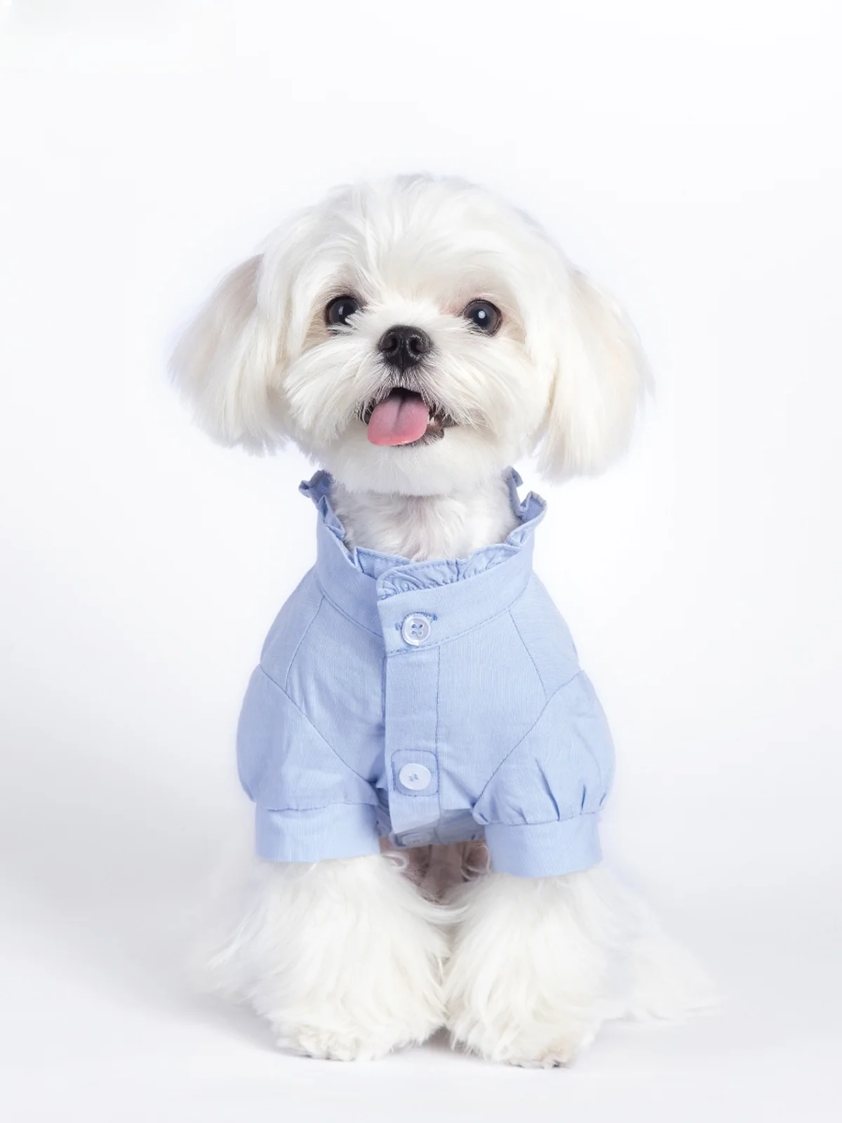 

MQPET Breathable Cotton Linen Shirt with Lace Collar for Cats And Dogs Pet Clothes Teddy Spring Summer And Comfortable