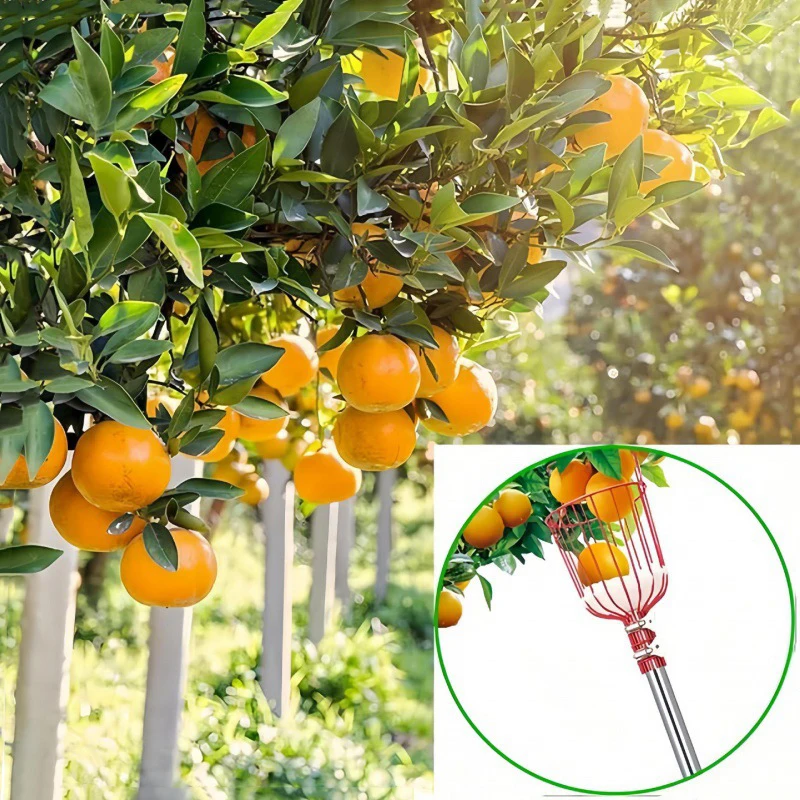 Fruit Picker Head for Picking Apple Peach Citrus Pear Deep Basket Portable Fruits Catcher Garden Picking Device