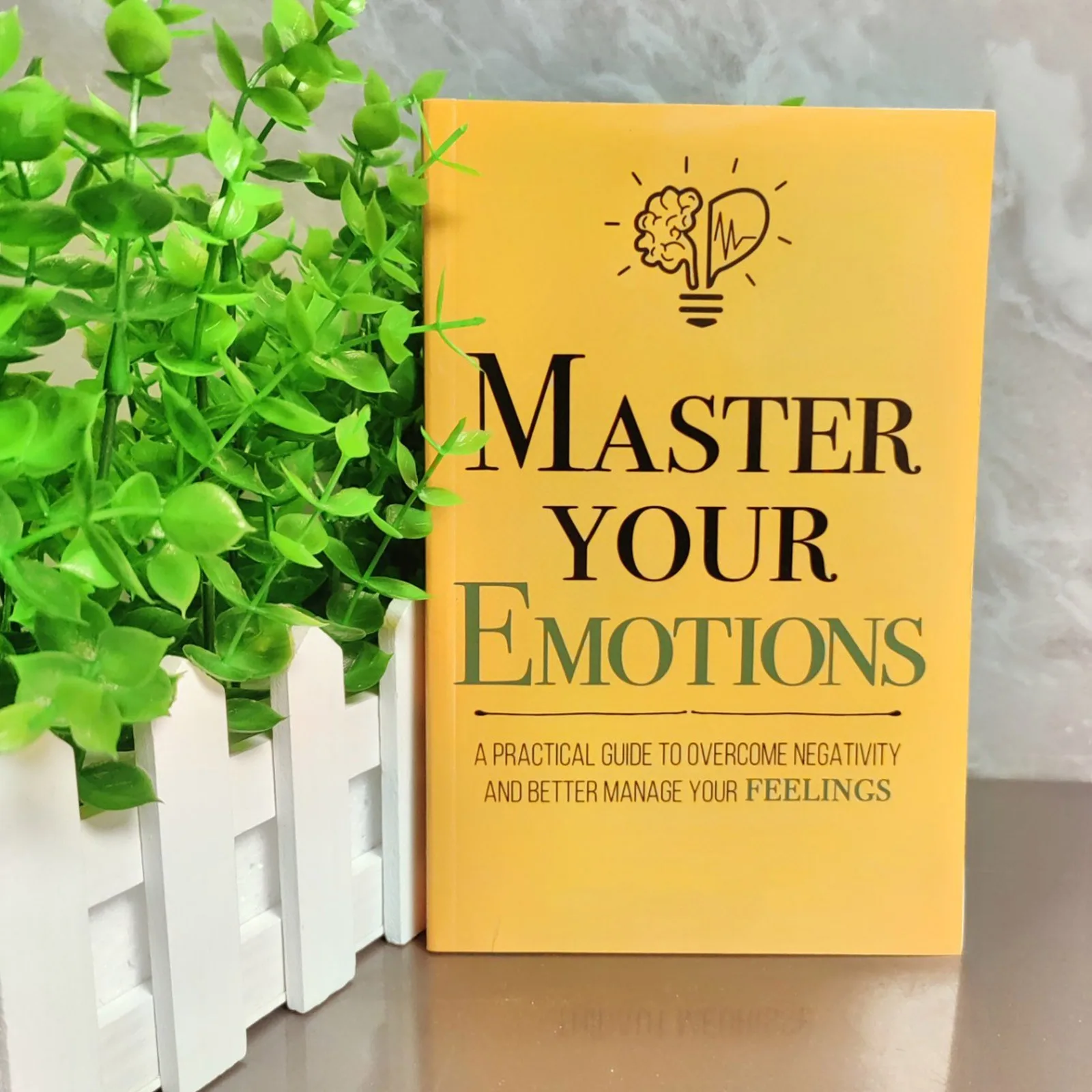 Master Your Emotions Practical Guide Physical Book Modern Emotional Management Self‑Improvement English Book