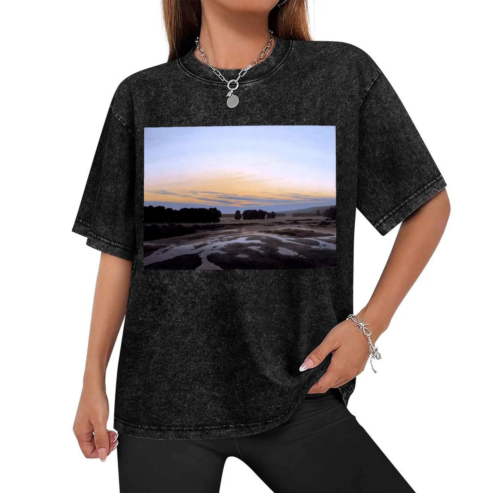 Caspar David Friedrich - The Grosse Gehege near Dresden T-Shirt oversized graphic tee cheap stuff T-shirt men