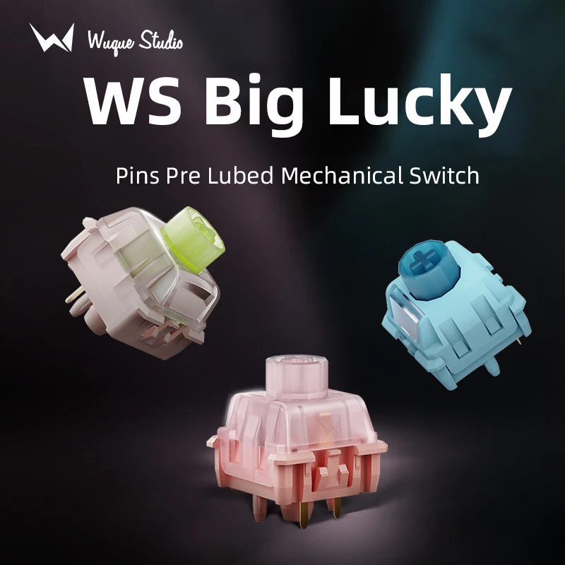 مفاتيح لوحة المفاتيح WS Big Lucky RGB 5Pin المفاتيح المسبقة مع ناشر LED للوحات المفاتيح الميكانيكية MX #3