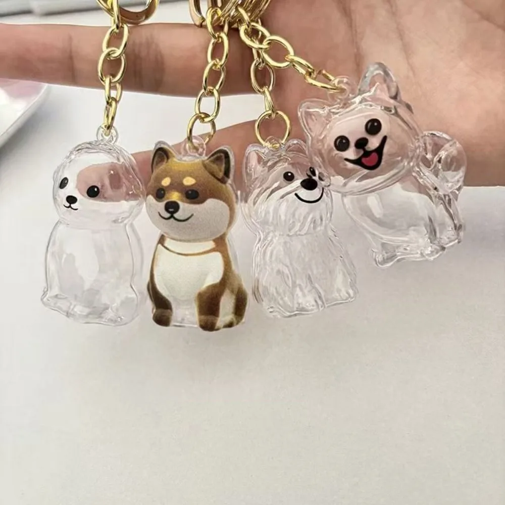 Transparent Dog Fur Storage Pendant Fur Storage Capsule DIY Accessories Portable Souvenirs Keychain Cute Pet Hair Container