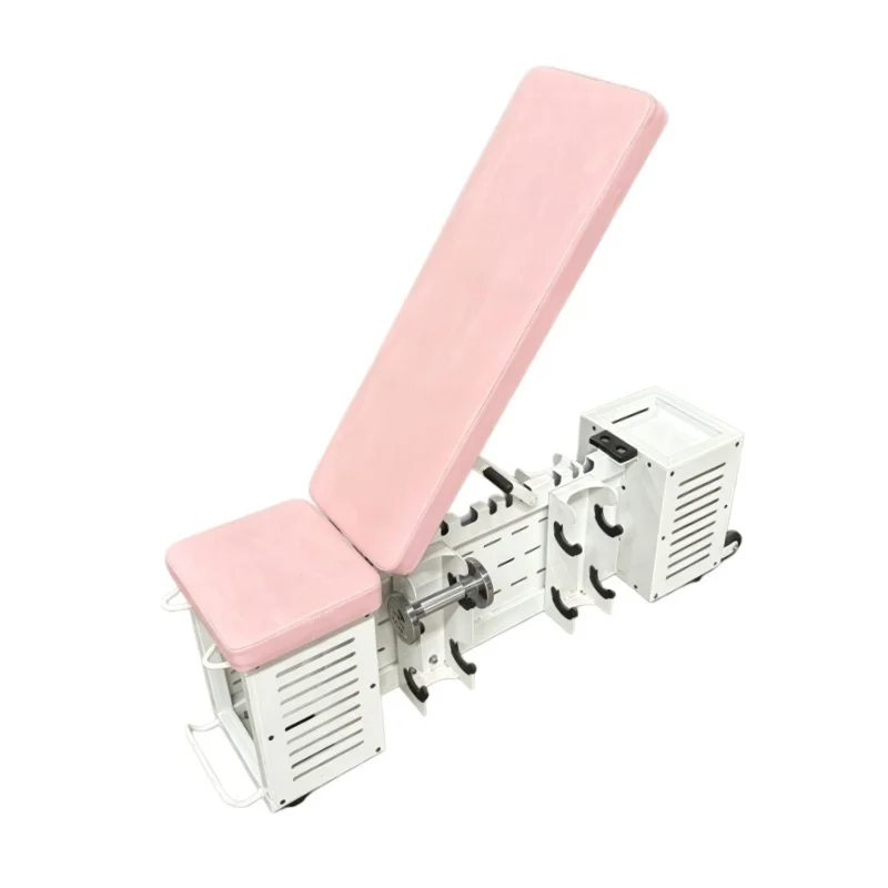 Portable Metal Gym Multi-Functional Adjustable Weight Lifting Dumbbell Bench Rack Foldable Fitness Press Barbell Bench Bed Bench