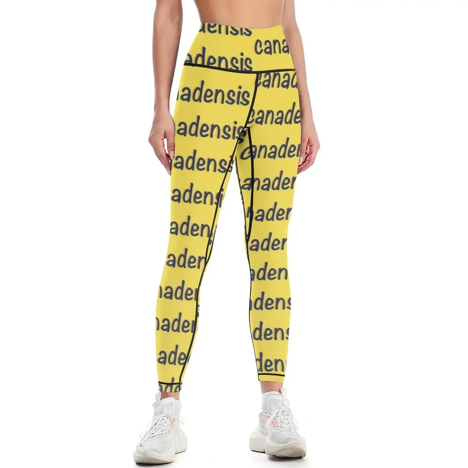 

Camp Canadensis Leggings sports for gym gym top sport legging sports woman gym Womens Leggings