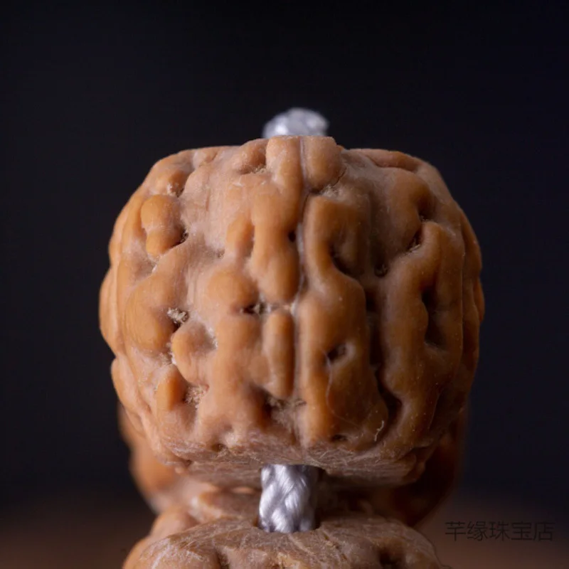 Indonesian first-generation Panlong five-petal small Rudraksha beads, 108 pieces, 2013 new seeds from the same tree, Tibetan-sty