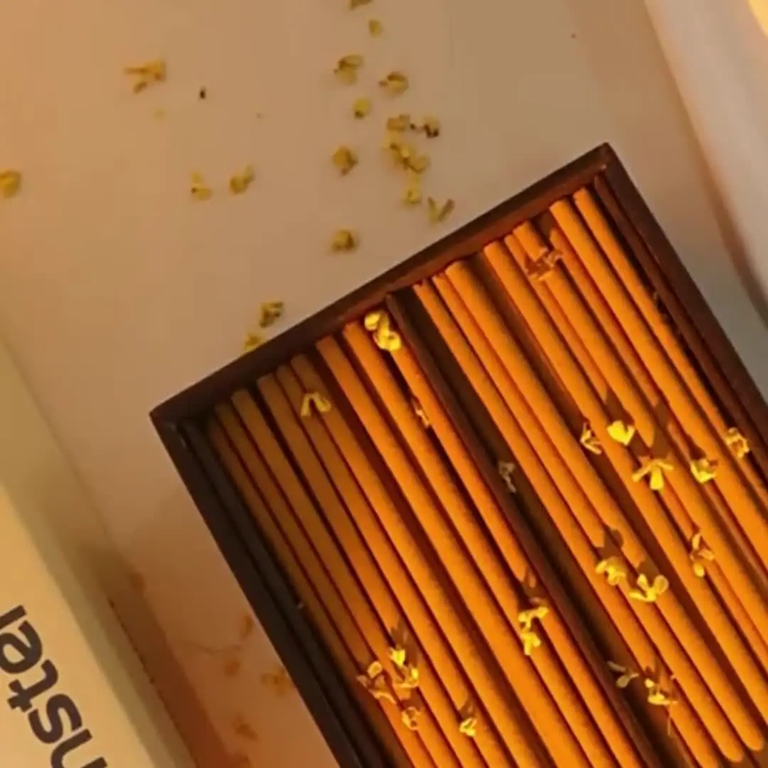 30 أعواد بالو سانتو عالية الجودة، حكيم أبيض، أرز، وعصي معطرة بالقهوة، سميكة بقطر 2.7 مم، عطري طبيعي، مناسبة لليوجا والتأمل، وتنقية الهدايا #6