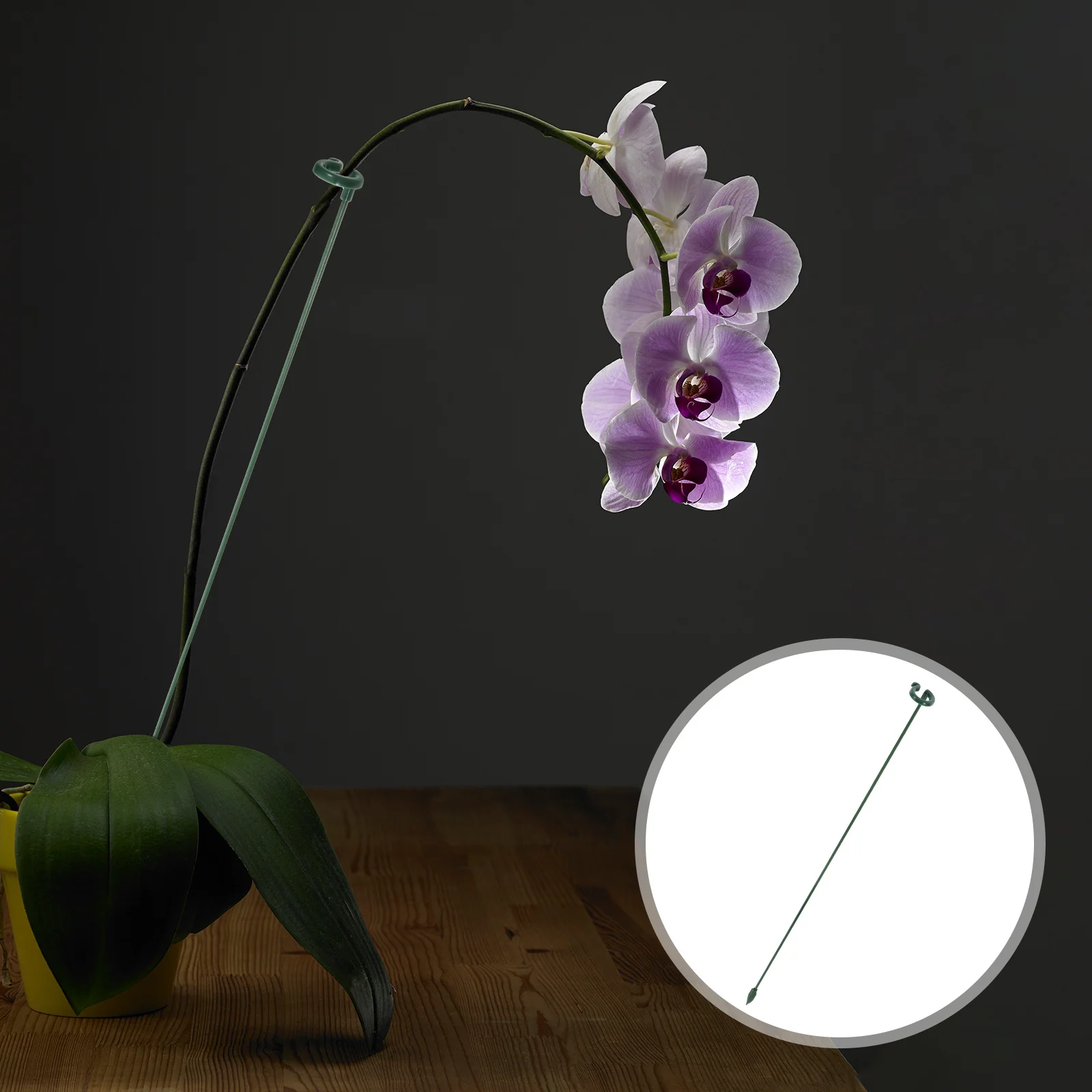 

12Pcs Plant Support Stakes Plastic Garden Trellis for Orchids Peonies Roses Single Stem Flowers Support Frames Garden Plant