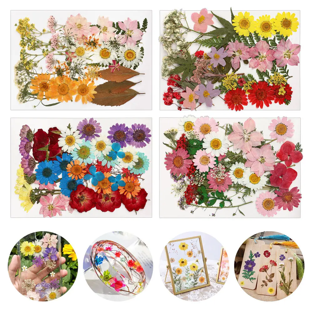 DIY kurutulmuş çiçek malzeme kiti kabartma kombinasyonu damla reçine kiti süs dolum malzemesi yaprak çıkartmalar el kitabı dekorasyon