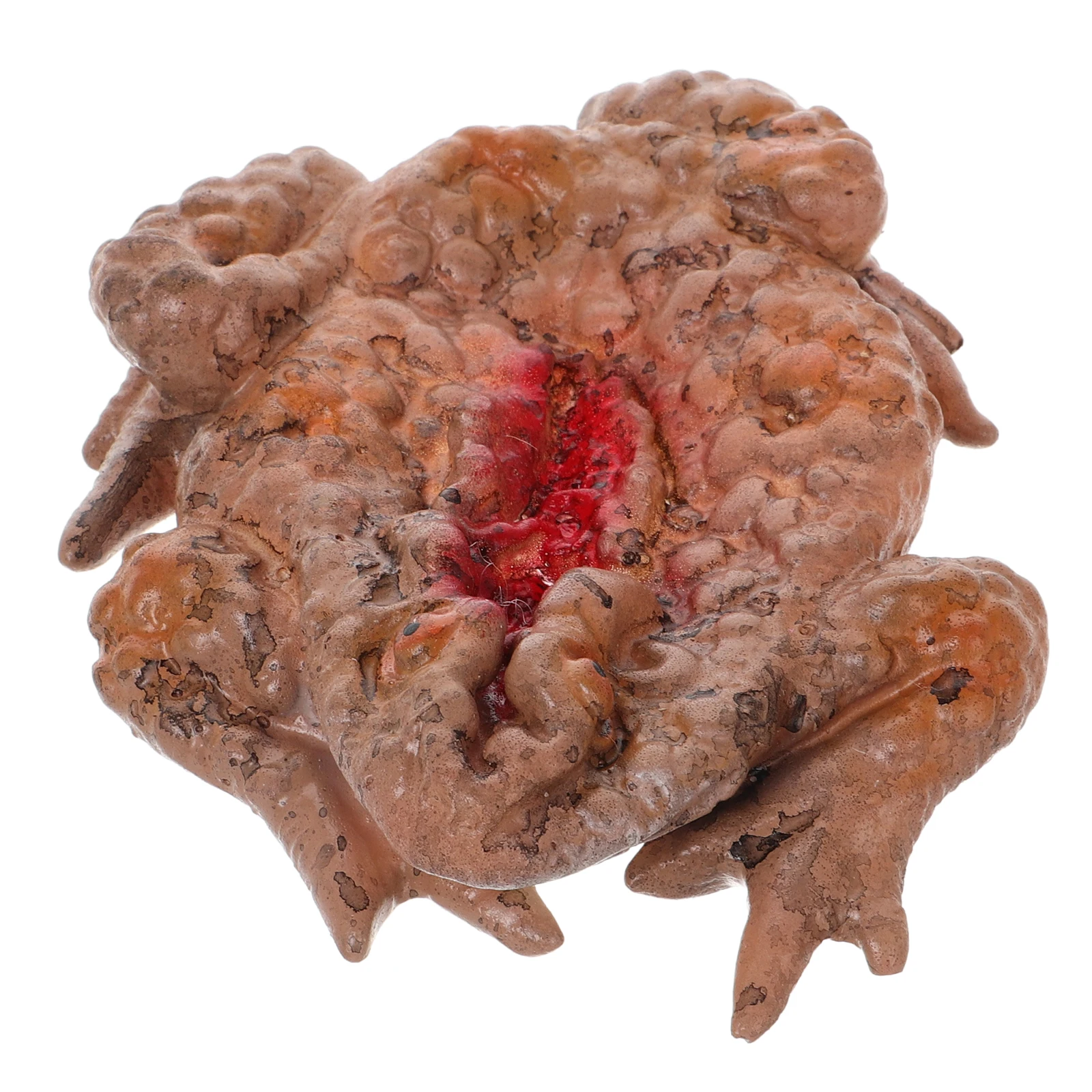 Scary Horror Toad Tray Prank Prop Halloween Decor Supplies Simulation Insect Box Large Size Scare Toy Creepy Display