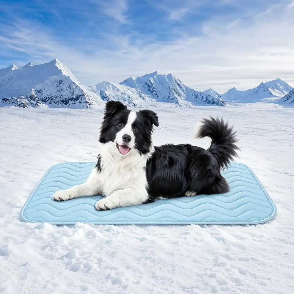 

Breathable Self-Cooling Pet Mat for Large & Medium Dogs, 36 x 22, Portable, Washable, Non-Slip, Suitable for Kennel, Bed, Floor,