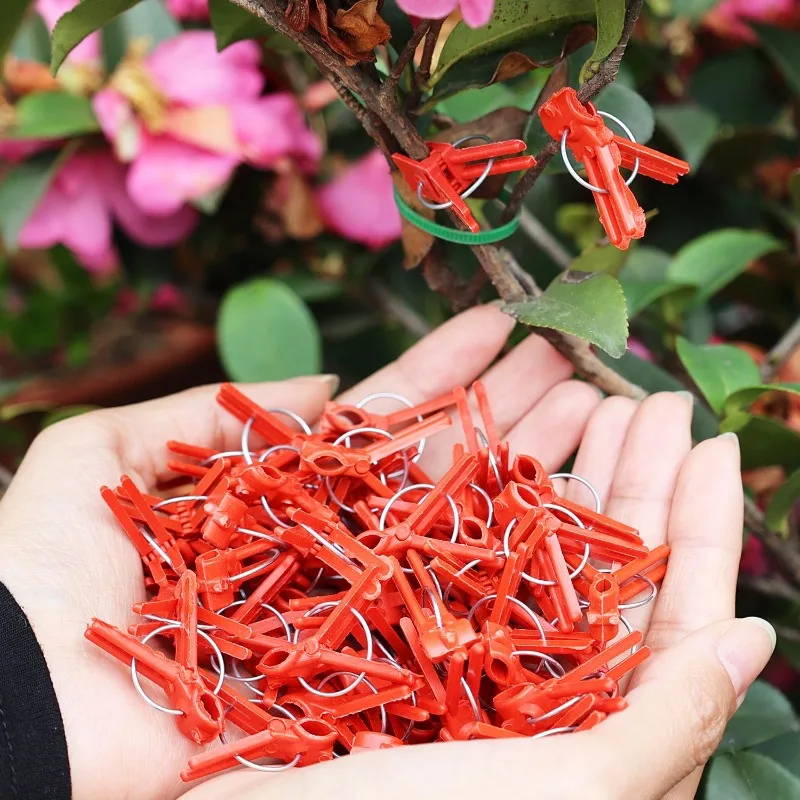 Reusable Plant Grafting Clip Anti-fall Fixed Clamp For Vegetables Tomato Plant Vine Climbing Support Clips Gardening Supplies