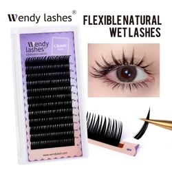 Wendy Lashes Wet Spikes Eyelash Extension Classic Lashes Manga Wispy Cosplay Type Eyelashes Fluffy  Premade Fans Lashes Supplies