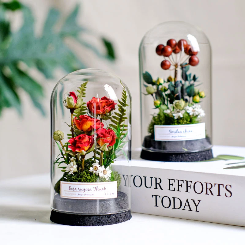 Natural Real Plants Immortal Flowers Handmade Decorations Micro Landscape Companion Lucky Vase Birthday Gift Dandelion Red Roses