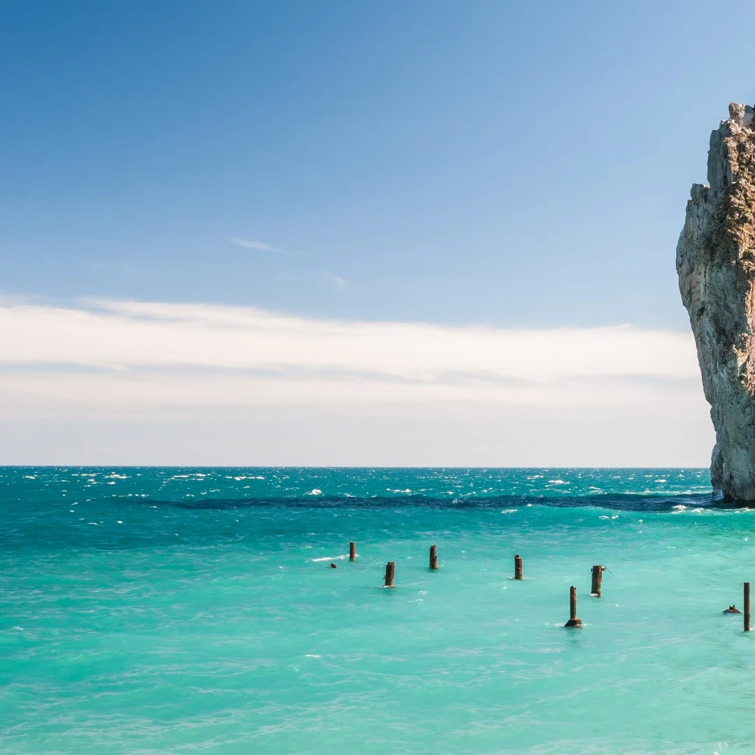 

Special Supplementary Payment Link for Additional Services and Custom Requirements