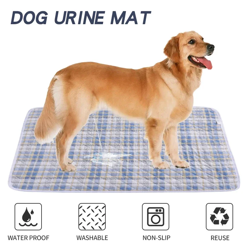 Der beste Pee Mat für Hunde: Eine detaillierte Bewertung und Anleitung