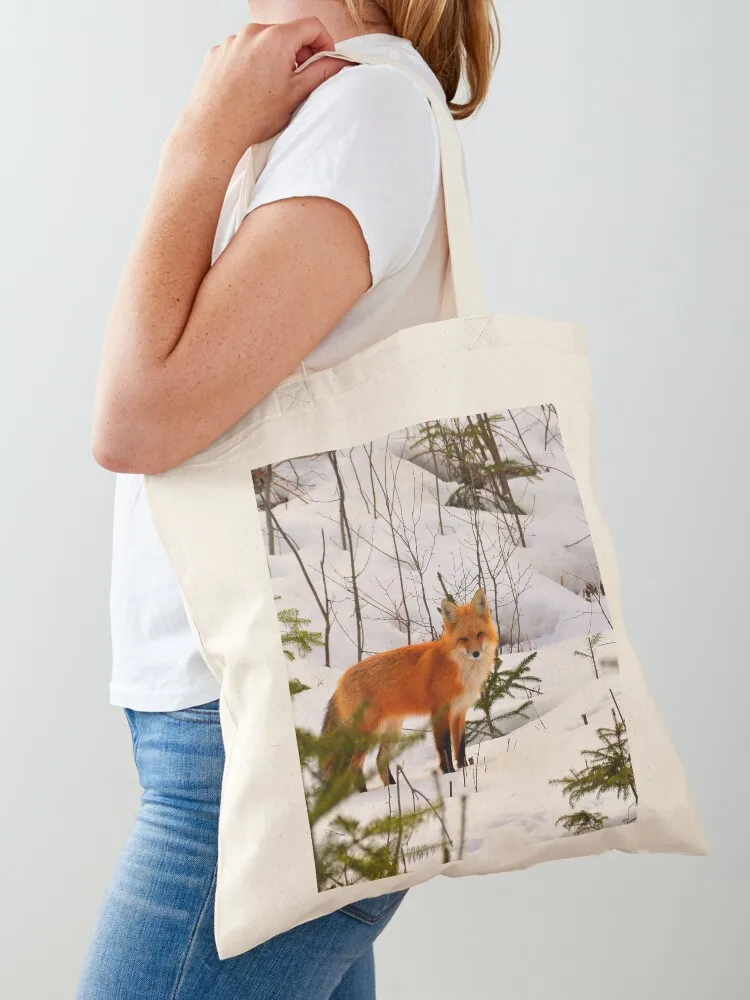 

Winter Fox Tote Bag tote bag women tote bag hand bags eco folding