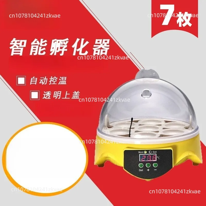 Mini 7 Bird Egg Farm Incubation Equipment Quail Incubator Small Pigeon Egg Incubator Mechanical Box