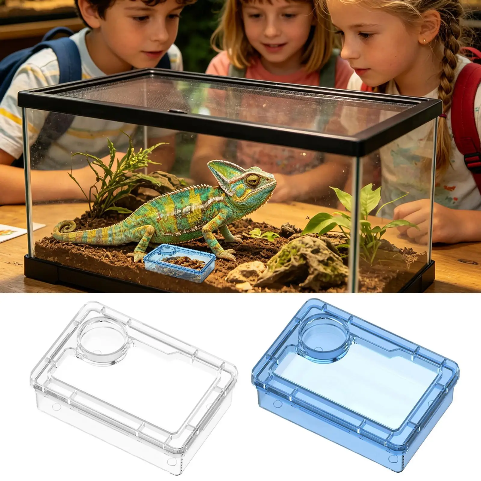 Escape Proof Reptile Food Dish Compartment Feeding Bowl Reptile live food anti escape feeding bowl feeding surface hydatid cyst