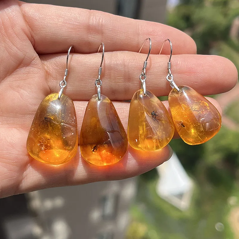 Insect Amber Earrings for Women S925 Silver Unique Drop Ear Gift Baltic Stone 2026 New Genuine Bugs Amber Jewelry Supplier 6