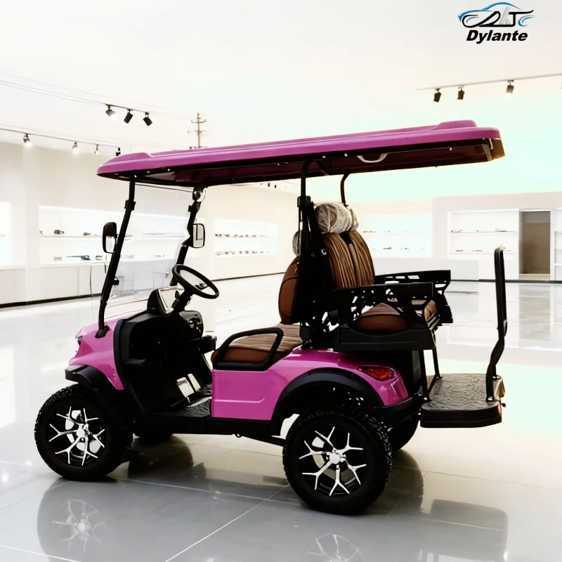Carro de Golf eléctrico potente y rápido para adultos, 2, 4, 6, 8 plazas, 48V, 60V, 72V, carrito de Golf todoterreno, coche de turismo eléctrico