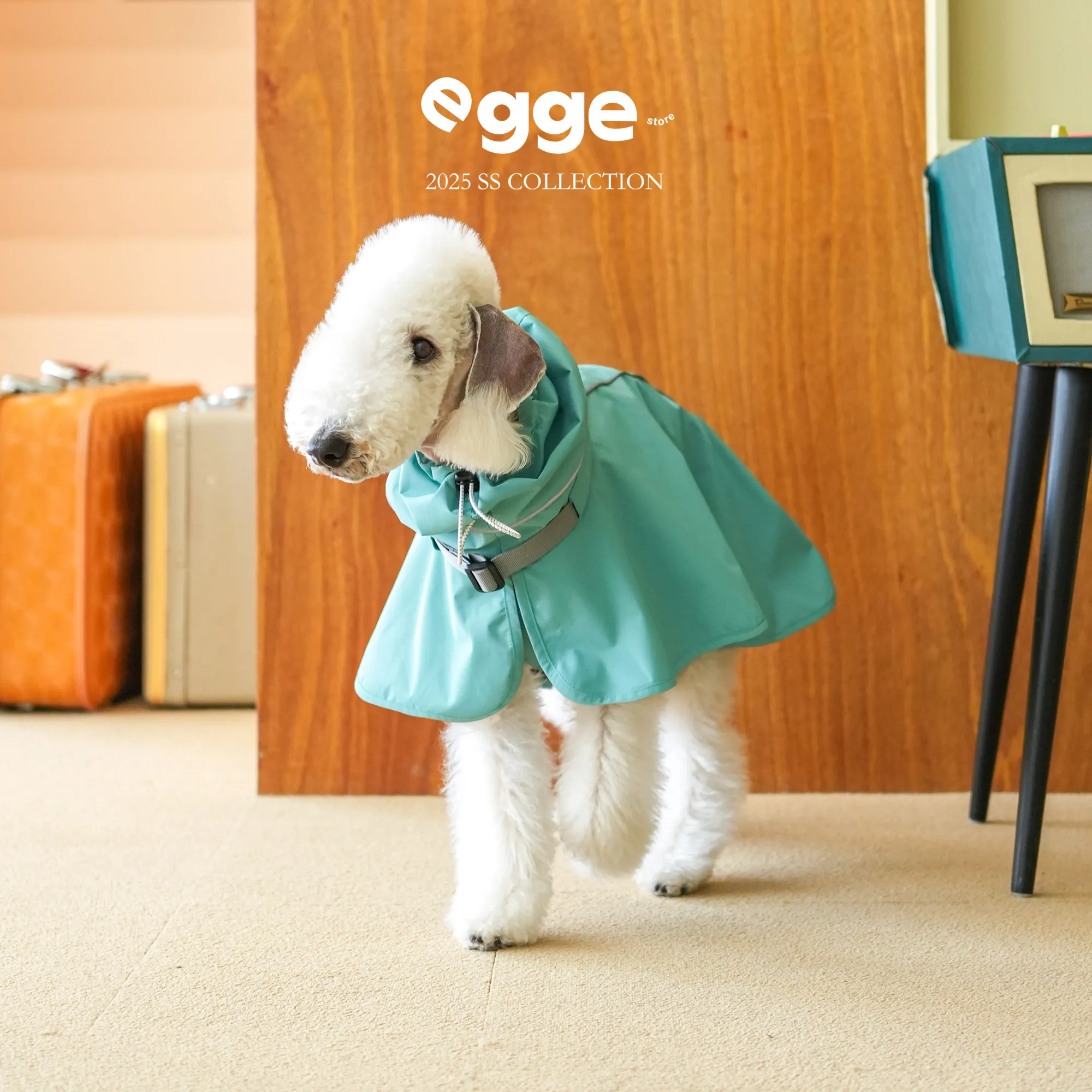 

Легкий водоотталкивающий дождевик EGGE с капюшоном для собак пород виппет (красный, синий) и итальянский борз (желтый) – модное водонепроницаемое пончо