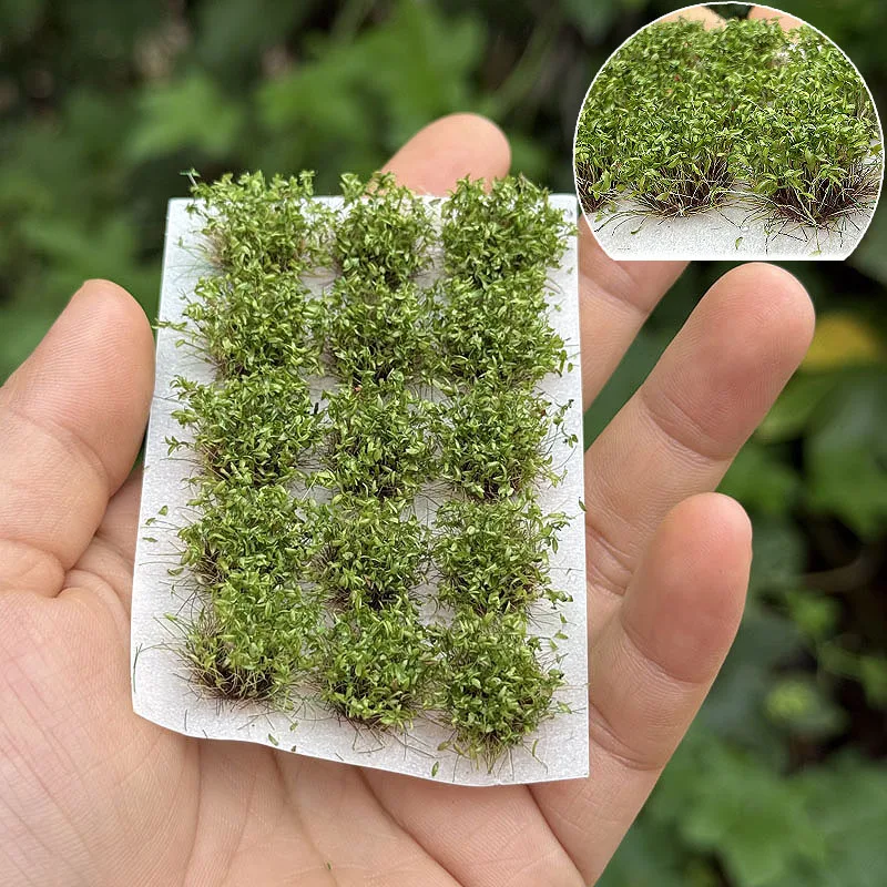 

15Pcs/Box Simulation Miniature 10mm Plant Grass cluster Model Diy Building Sand Table Garden Landscape Layout Materials Diorama