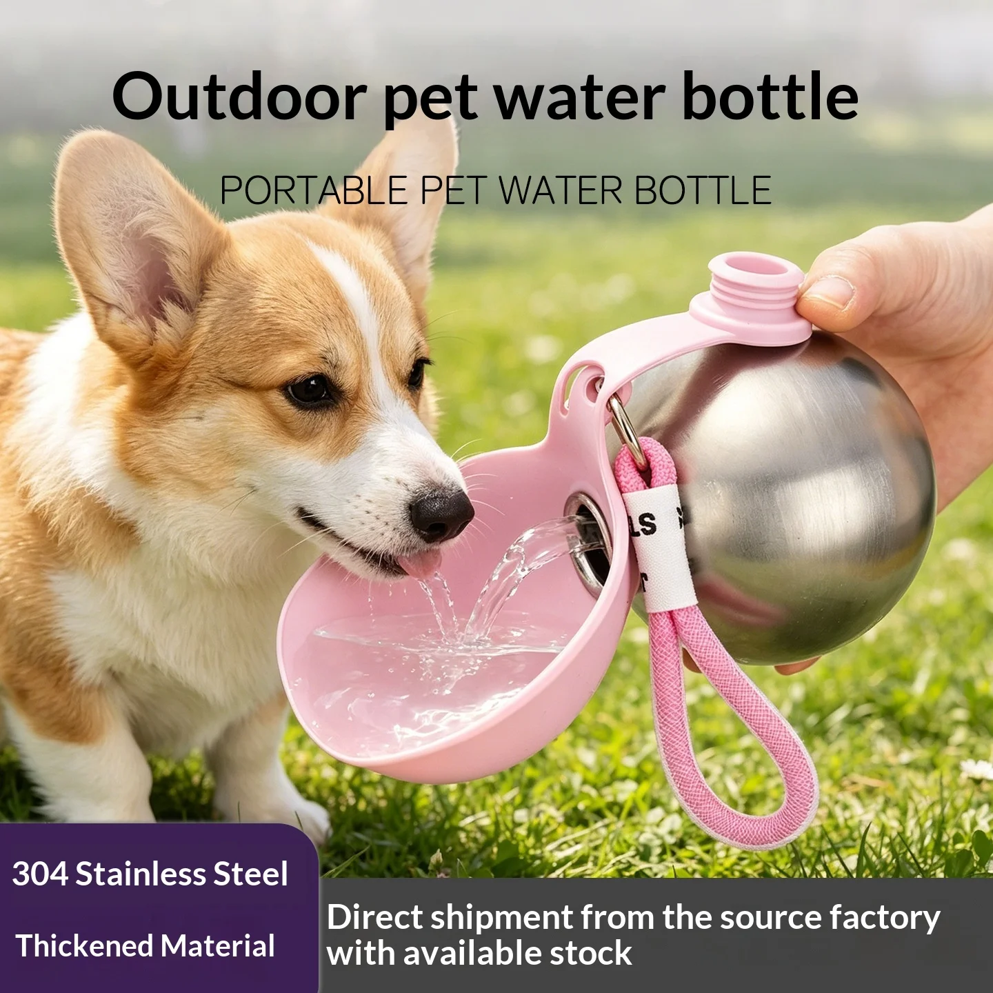 Portable Stainless Steel Pet Water Bottle with Foldable Silicone Bowl for Dogs and Cats Outdoor Walking Hiking Travel Use