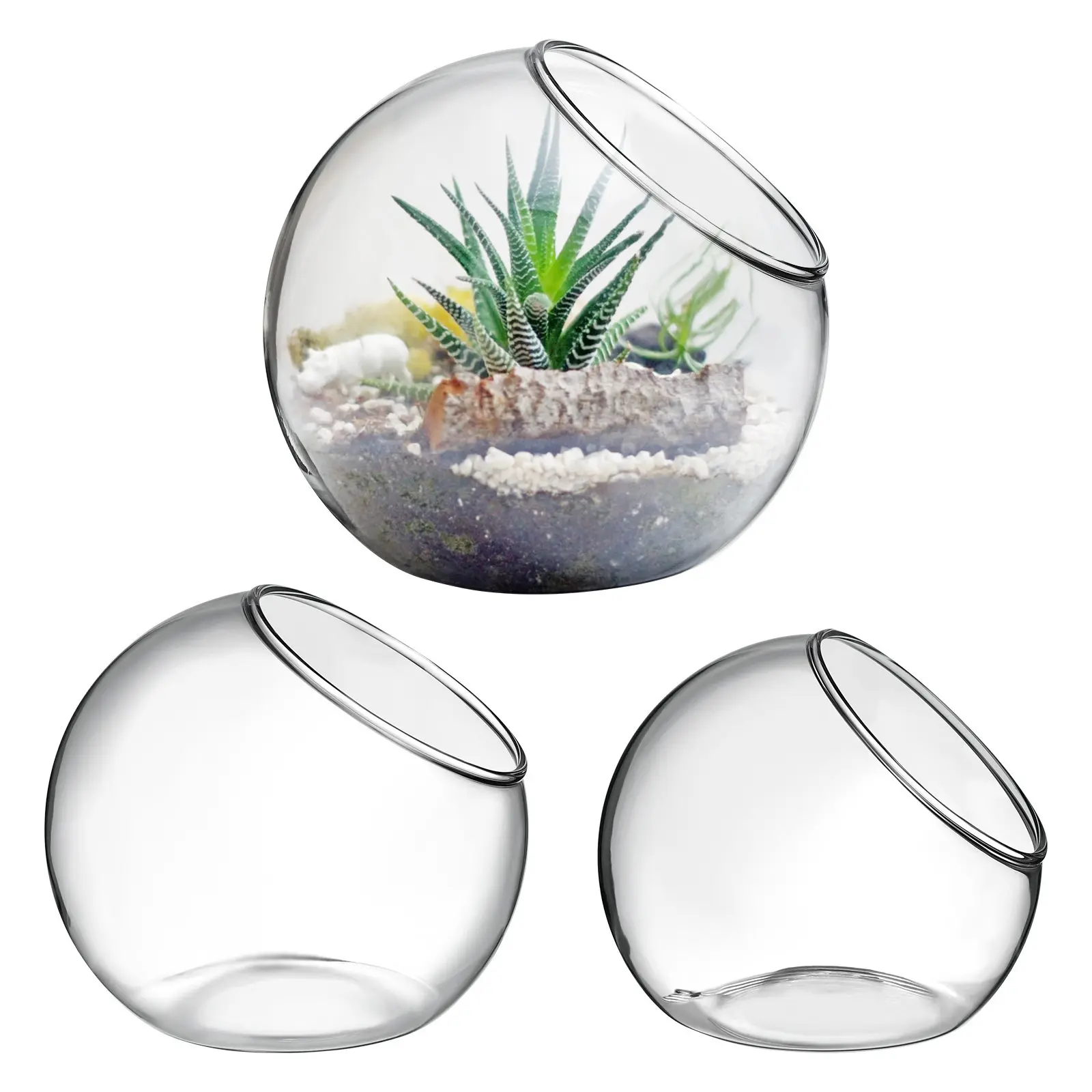 3Pcs Round Glass Terrarium Bowls Vases for Air Plant Succulent Containers Home Office Desk Garden Decoration Air Plant Terrarium