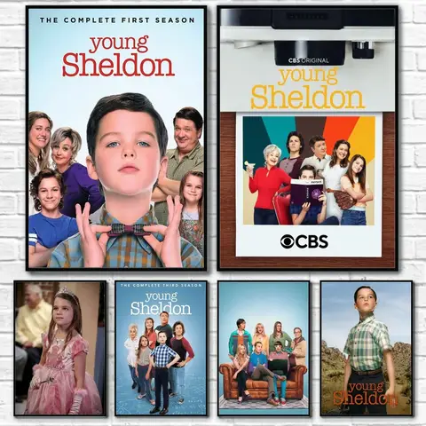 Young Sheldon TV 시리즈 영화 재생 HD 포스터 스티커 벽 아트 인쇄 방수 홈 거실 침대 룸 바 미적 장식