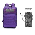 Purple-2L Grey