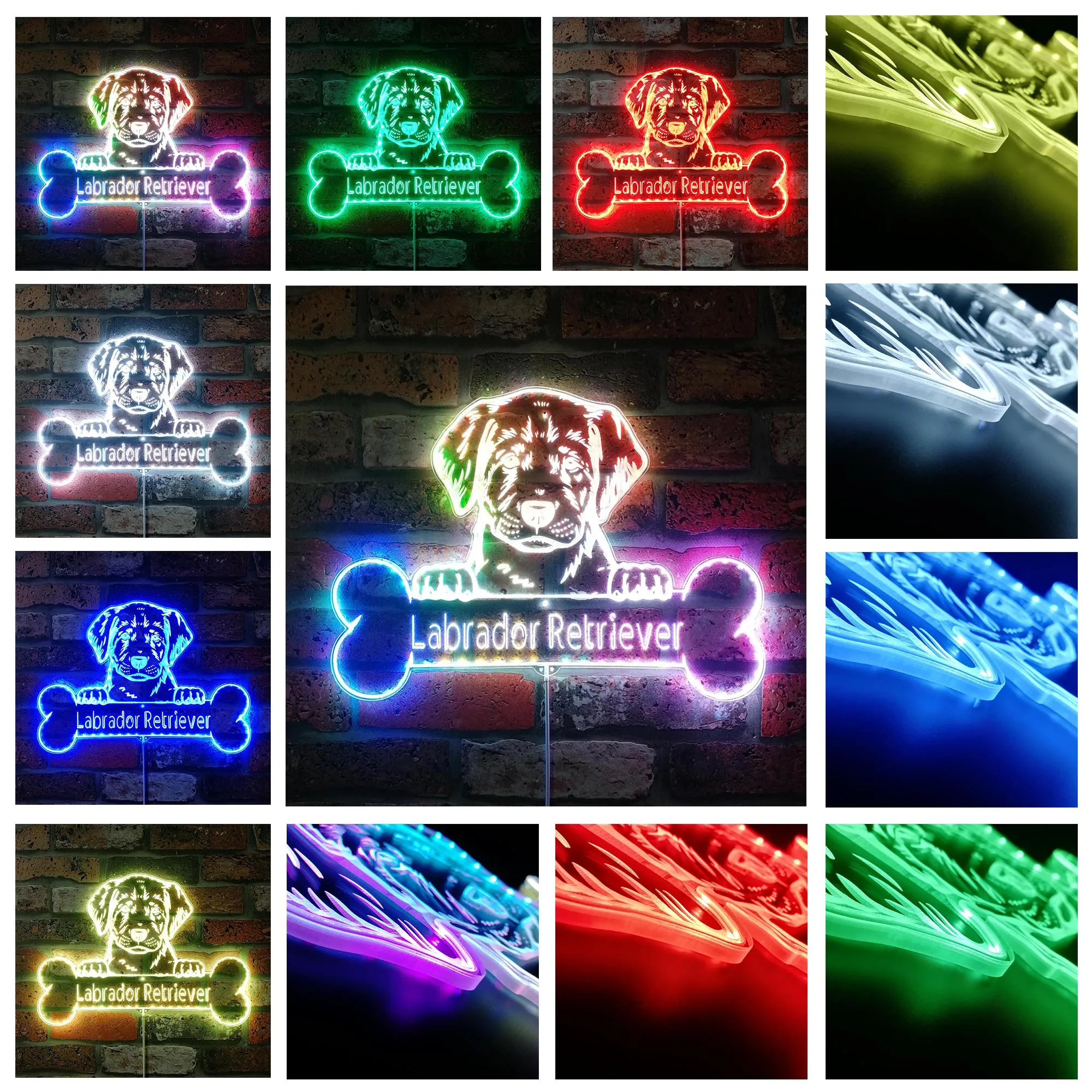 Name Personalize Labrador Retriever Glam Led Neon Sign st06-fnd-p0075-tm