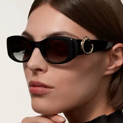 New in Fashion Vintage Classic Gold Leopard Sunglasses Women For Men Luxury Brand Designer Punk Popular Sun Glasses UV400 Shades