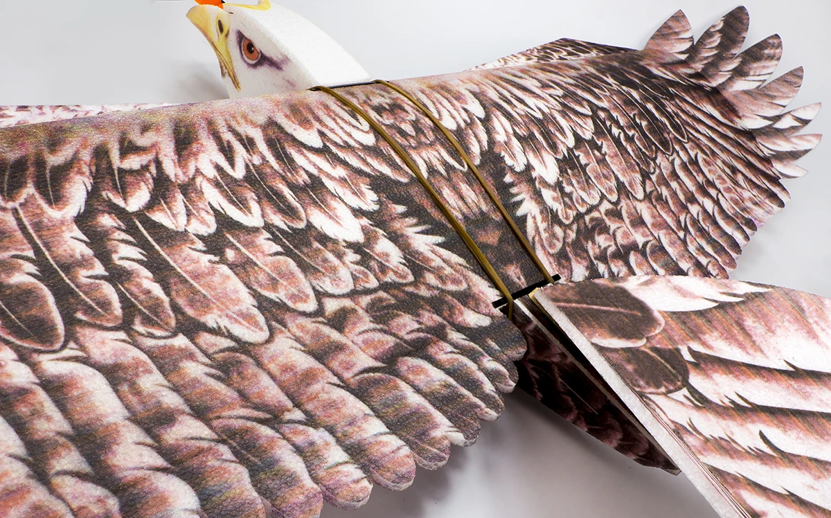 DW هوبي إيجل II EPP طائرة طائرة مزودة بجهاز للتحكم عن بُعد عدة رغوة مع MM2216 920KV موتور النسر نموذج طائرة التحكم عن بعد E19