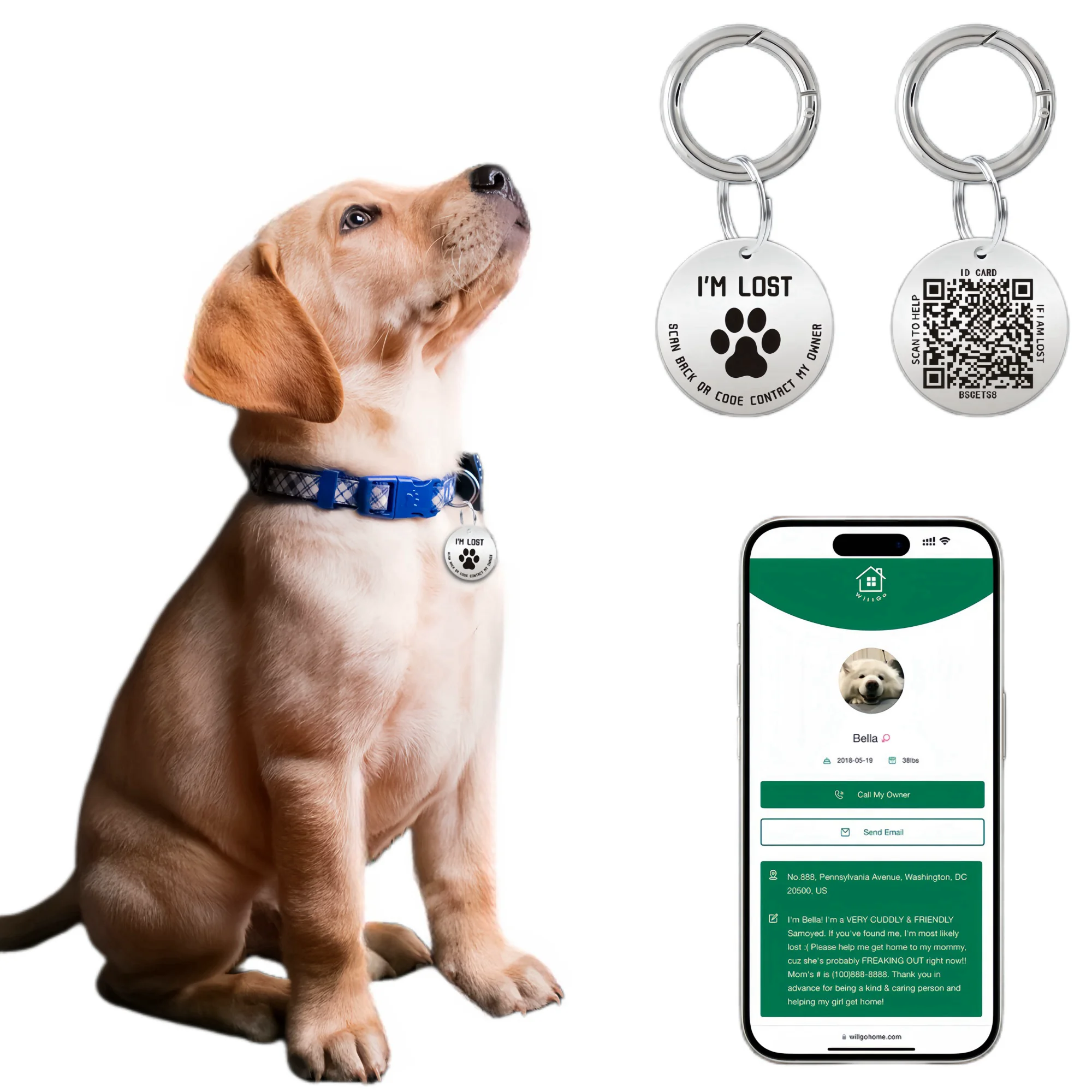 

Pet ID Tags Scan QR Code Receive Instant Location Alert Email Smart Dog Tags Stainless Steel No App or Subscription