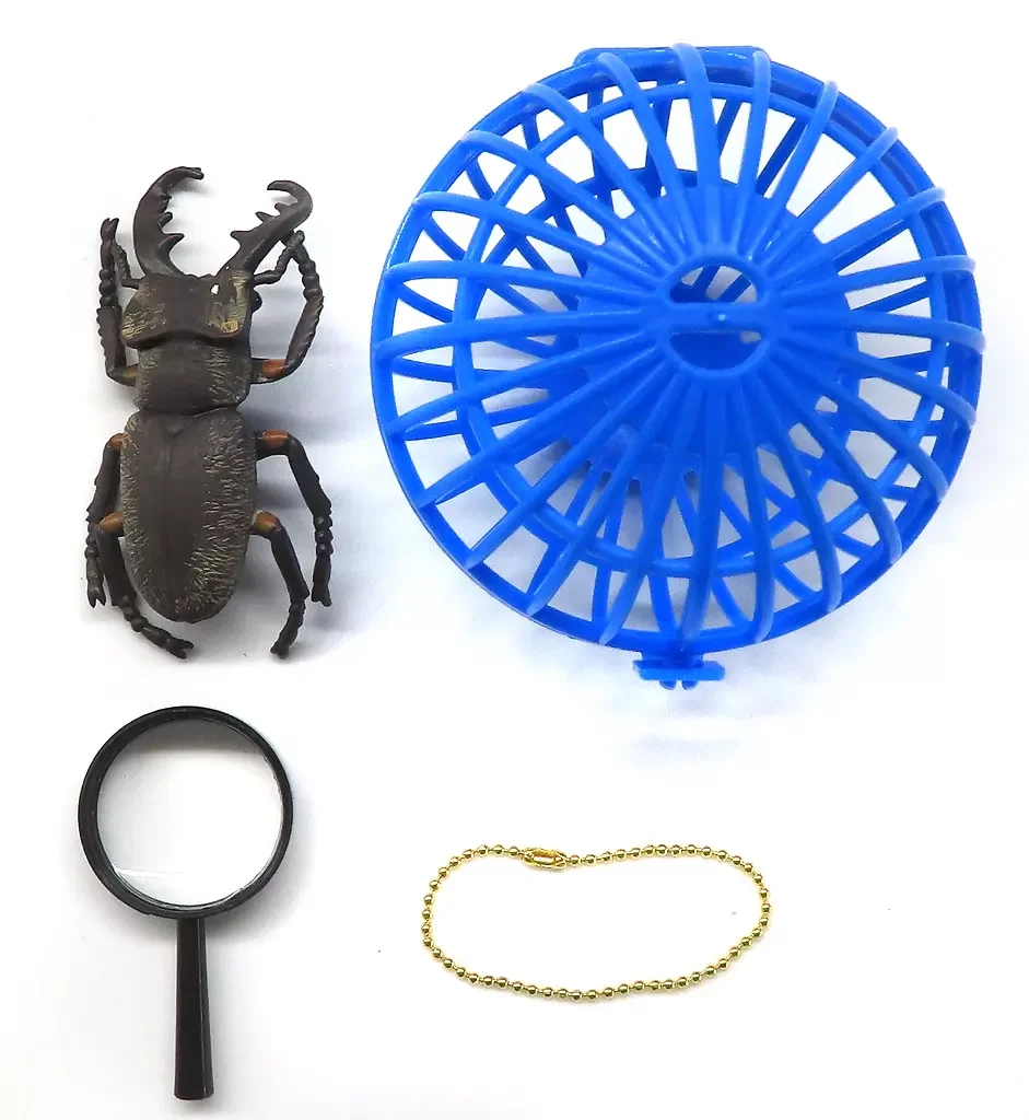 ألعاب كبسولة Yell مجموعة خنفساء نابضة بالحياة عينة زووم مع مكبر 12 نوعًا على شكل صافي على شكل قذيفة الحشرات شخصيات مصغرة