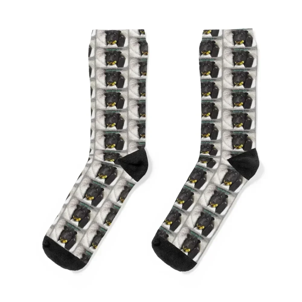 

Batzilla - Mr Belgrave Loves Bananas Socks kids FASHION Male Socks Women's