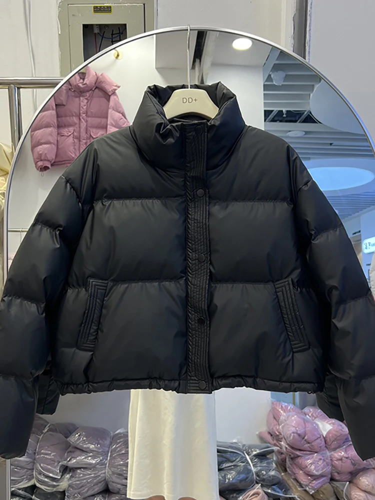 

Женская зимняя куртка свободного кроя с воротником-стойкой, утепленная пухом и хлопком, в корейском стиле, модная, с длинными рукавами, на молнии