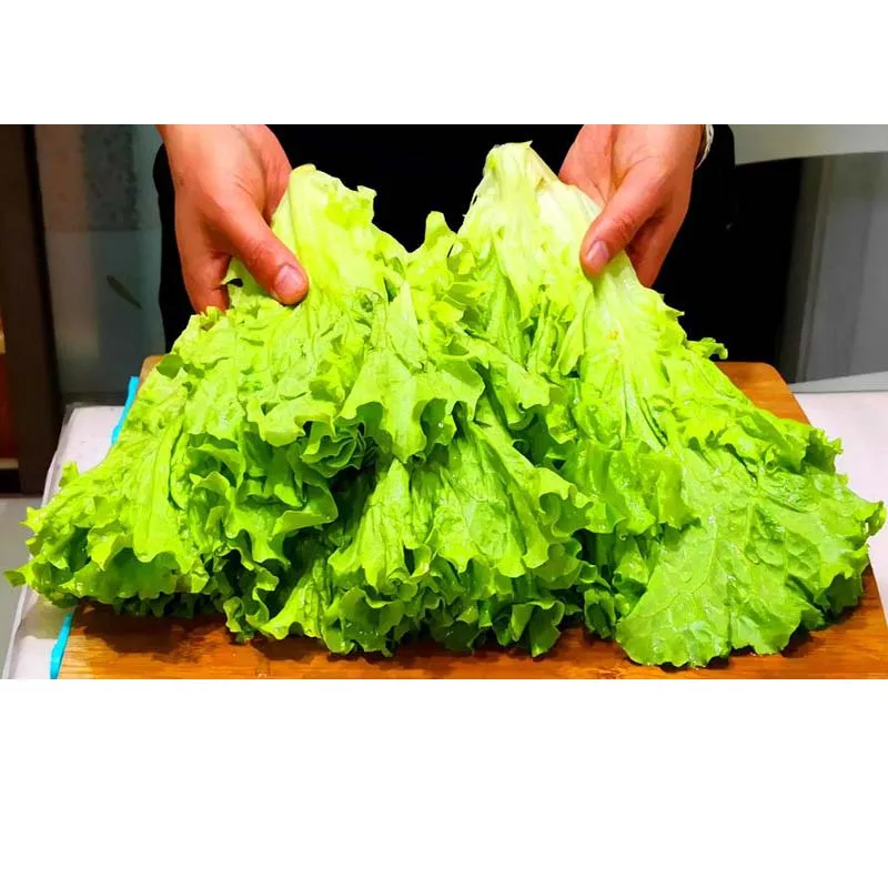 Large Capacity 20L … - image