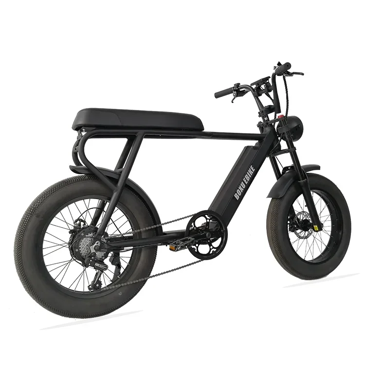 elektrische fiets double seat electric byke e bike powerful electricfatbike bicycle electricbike elektrische fatbike