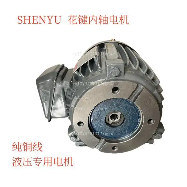 Inner shaft motor 0.75KW 1.5KW 2.2KW 3.7KW hydraulic special motor